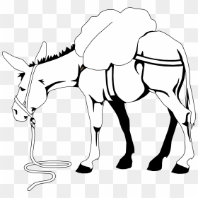 Clip Art Donkey Free Download Clipart - Donkey Clipart Black And White, HD Png Download - donkey png