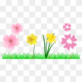 Daffodil Clip Art, HD Png Download - grass flower png