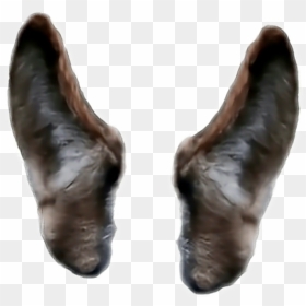 Wolf Ears Png, Transparent Png - dog filter png