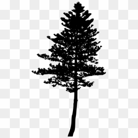 Tree Silhouette Png - Free Tree Silhouette Png, Transparent Png - forest silhouette png