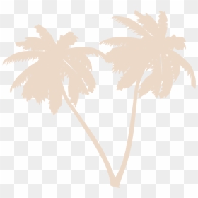 White Palm Leaves Png, Transparent Png - palms png