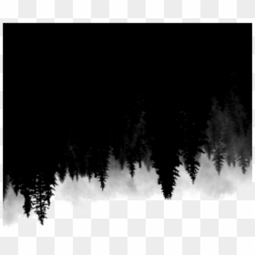 #ftestickers #trees #forest #silhouette #upsidedown - Wattpad Background For Book Cover, HD Png Download - forest silhouette png