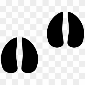 White - Cow Footprint Png, Transparent Png - footprint png