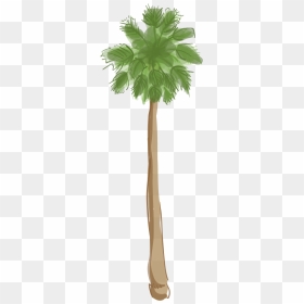 Los Angeles Palm Tree Png, Transparent Png - palms png