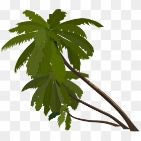 Jungle Tree Cartoon Png, Transparent Png - palms png