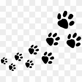 Dog Footprint Png - Animal Footprints Clip Art, Transparent Png - footprint png