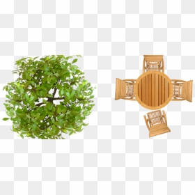 Pics Photos Tree Plan View Photoshop Texture Png - Outdoor Furniture Top View Png, Transparent Png - tree plan png