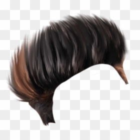 Black Hair World Brush Long Hair - Guy Fieri Hair Png, Transparent Png - guy fieri png