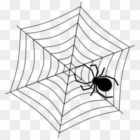 Cobweb Spiderweb Cobweb Net, HD Png Download - spiderweb png