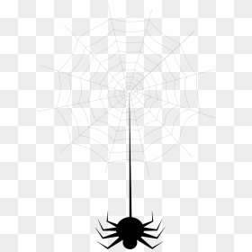 Spider Web Clipart - Spider Web, HD Png Download - spiderweb png