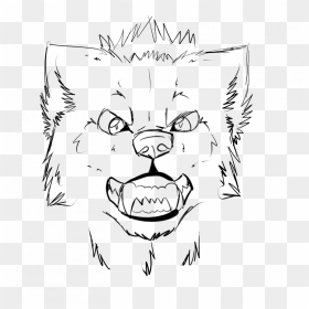 How To Draw An Wolf Head A Front View - Wolf Face Drawing Easy, HD Png Download - wolf head png
