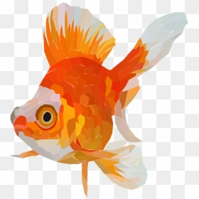 Goldfish, HD Png Download - goldfish png
