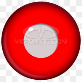 Terror Eyes® Contact Lens - De Young Museum, HD Png Download - red eyes png
