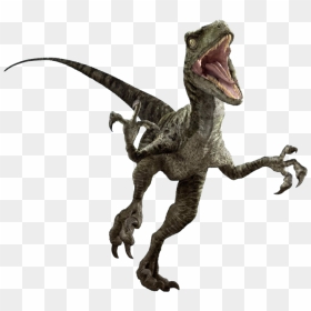 Velociraptor Png Photo - Transparent Background Velociraptor Png, Png Download - velociraptor png