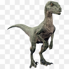   - Velociraptor Jurassic World Evolution, HD Png Download - velociraptor png