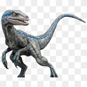 Velociraptor Transparent & Free Velociraptor Transparent - Velociraptor ...