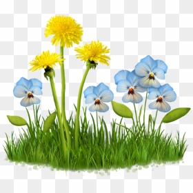 Transparent Field Png - Fleurs Des Champs Png, Png Download - grass flower png