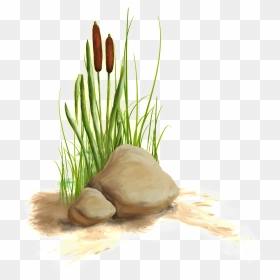 The Transparent Material Of The Flower And Grass In - Aquatic Plant, HD Png Download - grass flower png