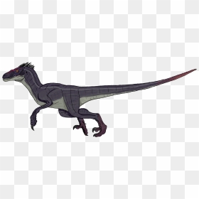 Jurassic Park 3 Male Velociraptor Clipart , Png Download - Jurrasic World Raptor Cartoon, Transparent Png - velociraptor png