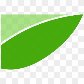 Thumb Image - Header Green Png, Transparent Png - green png