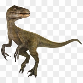Jurassic World Alive Wiki - Velociraptor Jwa, HD Png Download - velociraptor png