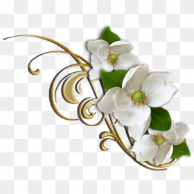 Free Png White Flower With Gold Decorative Elemant - White Gold Flower Png, Transparent Png - white flowers png