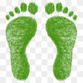 The Ecological Footprint Challenge, HD Png Download - footprint png