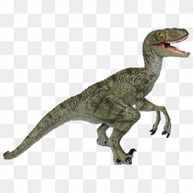 Jurassic Park Playfield Velociraptor - Raptor Dinosaur Transparent Background, HD Png Download - velociraptor png
