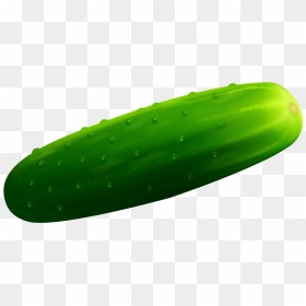 Single Cucumber Png Free Download - Cucumber Clipart, Transparent Png - cucumber png