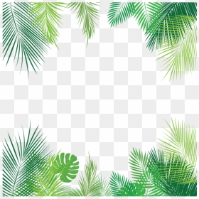 Palm Leaves Png, Vector, Psd, And Clipart With Transparent - Palm Leaves Background Png, Png Download - palm leaves png