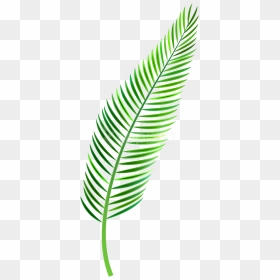 Free Png Palm Leaf Png Images Transparent - Palm Leaf Clipart Png, Png Download - palm leaves png