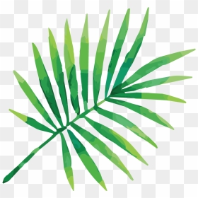 Cropped Bartboard - Tropical Leaf Illustration Png, Transparent Png - tropical leaves png