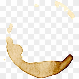 Png Clipart Best Coffee Stain - Transparent Background Coffee Stain Png, Png Download - coffee stain png