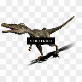 Velociraptor , Png Download - Velociraptor, Transparent Png - velociraptor png