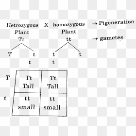Diagram, HD Png Download - cross out png