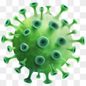Green Coronavirus Png Clipart - Coronavirus Clipart Png, Transparent Png - green png