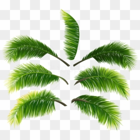Free Png Download Palm Leaves Clipart Png Photo Png - Palm Leaves Transparent Free, Png Download - palm leaves png
