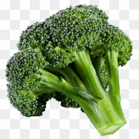 Green Broccoli Png Background - Transparent Background Broccoli Png, Png Download - broccoli png
