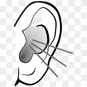 Ears Clipart Black And White, HD Png Download - ear png