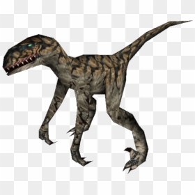 Thumb Image - Tyrannosaurus, HD Png Download - velociraptor png
