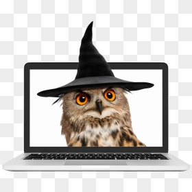Owl Wearing A Wizard Hat - Portable Network Graphics, HD Png Download - wizard hat png