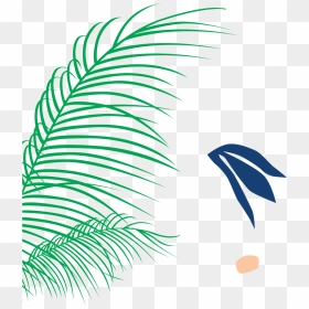 Illustration, HD Png Download - palms png