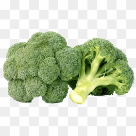Green Broccoli Png Free Background - Green Veggies Transparent Background, Png Download - broccoli png