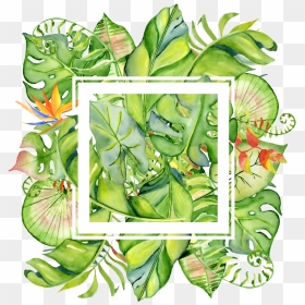 Painted Tropical Leaves Frame Png Transparent About - Border Tropical Leaves Png, Png Download - tropical leaves png