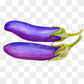 Svg Freeuse Library Vegetable Illustration Hand Painted, HD Png Download - eggplant png