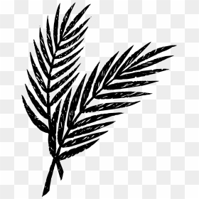 Holy Week Palm Leaves , Png Download - Palm Sunday Palm Clip Art, Transparent Png - palm leaves png