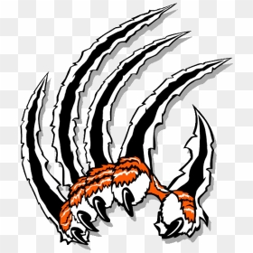 Claw Clip Art - Tiger Claws Clipart, HD Png Download - claw marks png