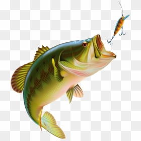 Fishing Transparent Images - Fish Jumping Out Of Water Clipart, HD Png Download - fishing png