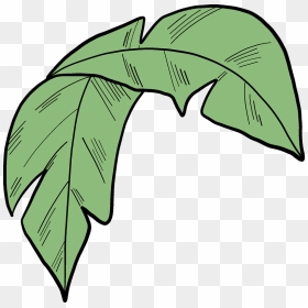 Palm Leaf Clipart, HD Png Download - palm leaves png