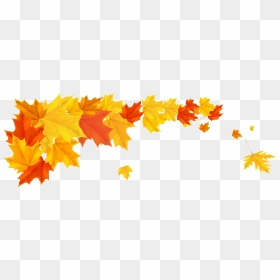 Orange Fall Leafs Png Clipart Picture - Fall Leaves Border Transparent, Png Download - maple leaf png